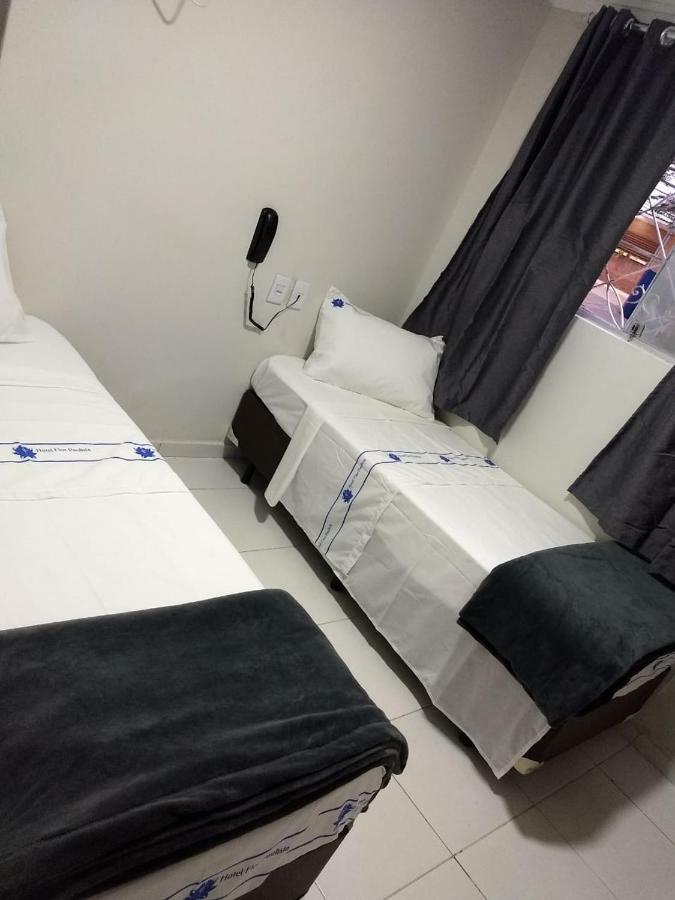 Hotel Flor Paulista Σάο Πάολο Εξωτερικό φωτογραφία